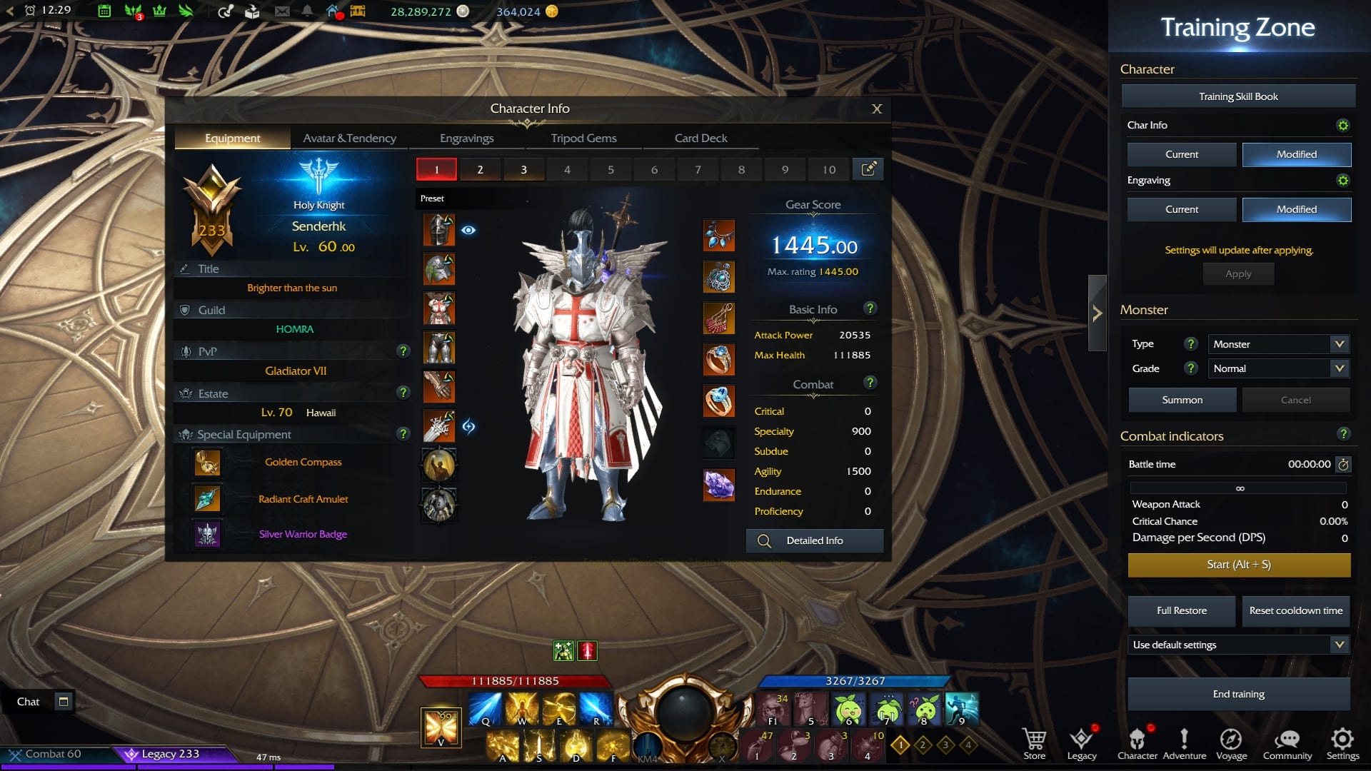 Support Paladin (Holy Knight) Build BiS-Gear